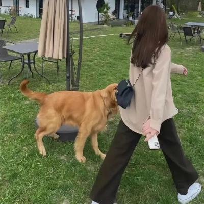 无止尽的前进